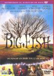 BIG FISH  DVD