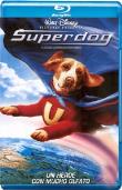 SUPERDOG