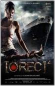 REC 4 - BR